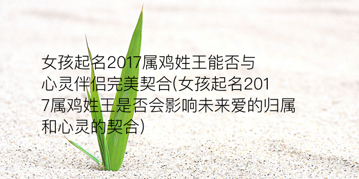 齐河周易取名游戏截图