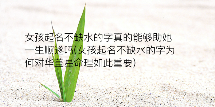 同名同姓文案游戏截图