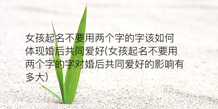 润字公司起名游戏截图