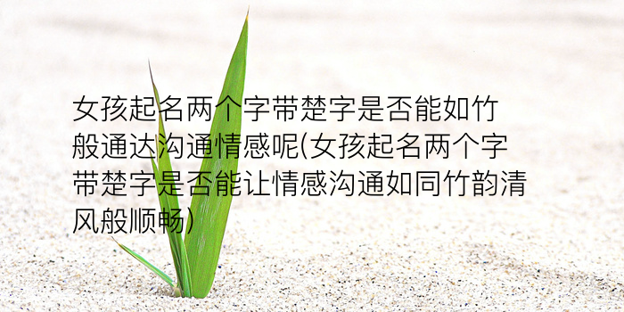 公司起名生僻字游戏截图