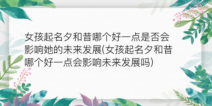 二零二算运网