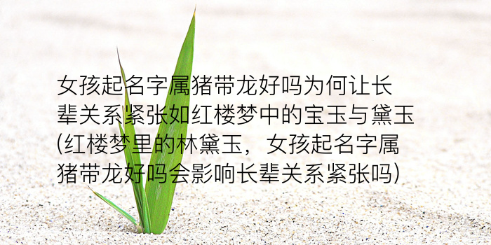 公司的起名大全游戏截图