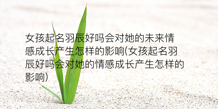 公司在线起名游戏截图