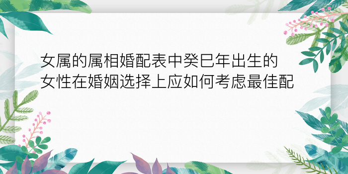 女属的属相婚配表中癸巳年出生的女性在婚姻选择上应如何考虑最佳配对