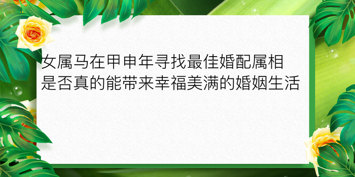 白羊座最佳配对星座游戏截图