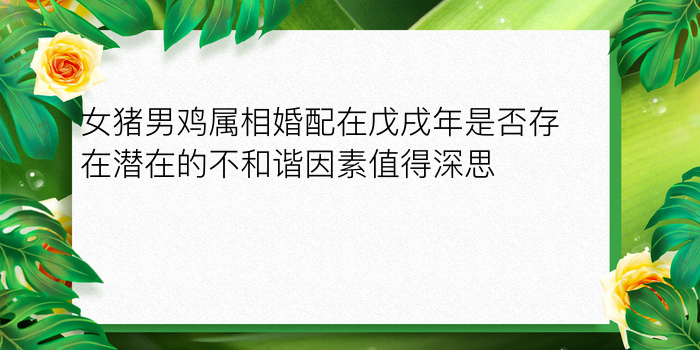 女猪男鸡属相婚配在戊戌年是否存在潜在的不和谐因素值得深思