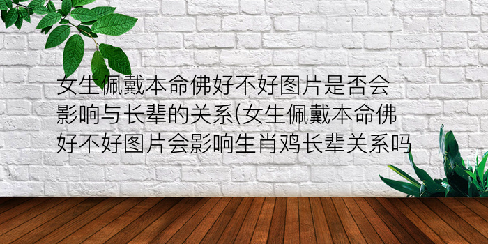 今年属猪的犯太岁吗游戏截图