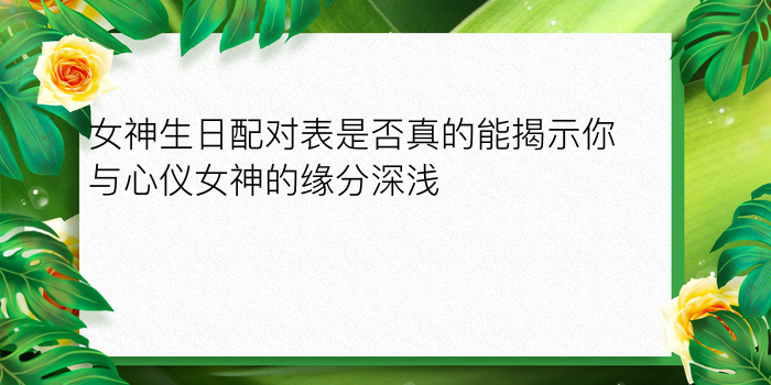 瓷都车牌号测吉凶查询游戏截图