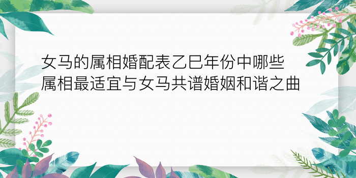 免费八字终身运程游戏截图