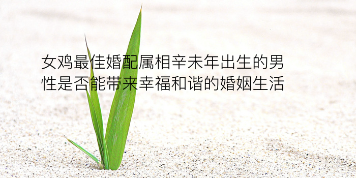 八字算命财运游戏截图