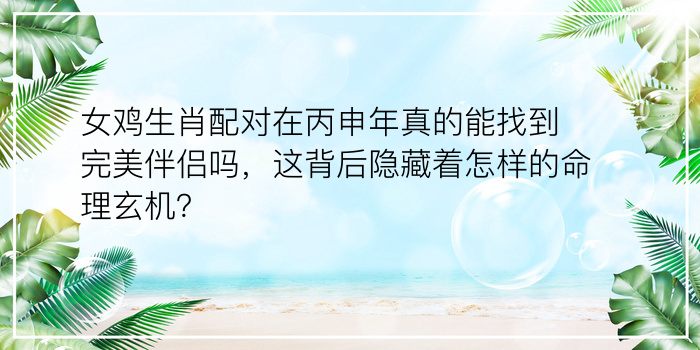 女鸡生肖配对在丙申年真的能找到完美伴侣吗，这背后隐藏着怎样的命理玄机？