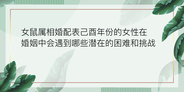 女鼠属相婚配表己酉年份的女性在婚姻中会遇到哪些潜在的困难和挑战