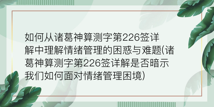 二零二算运网