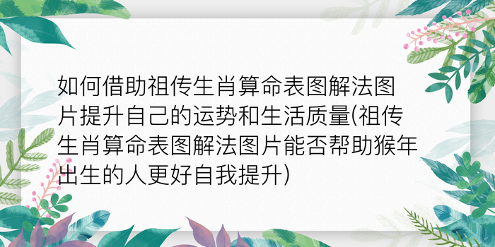 二零二算运网