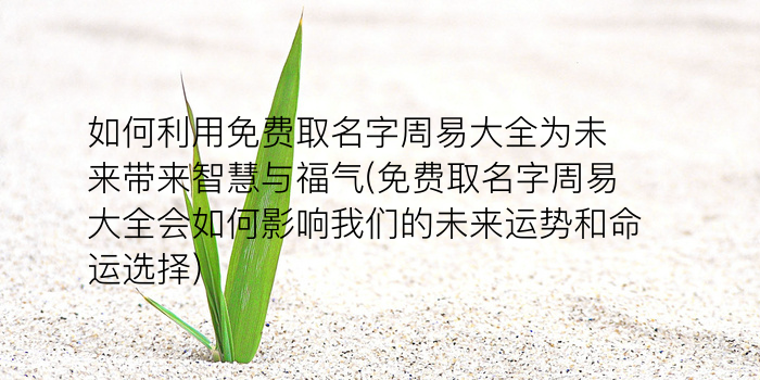 同名同姓领证游戏截图