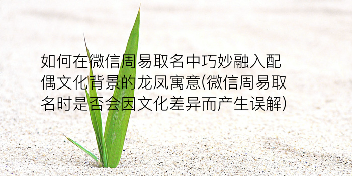 徐虹同名同姓游戏截图