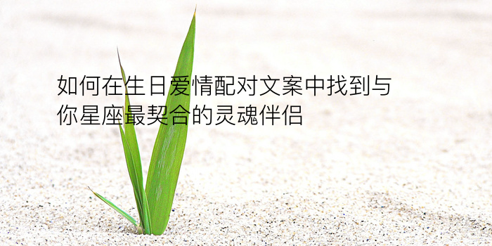 缘分测试姓名配对游戏截图