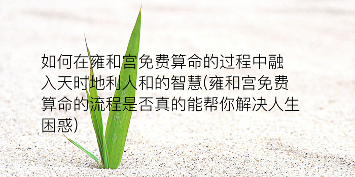 大师免费算命游戏截图