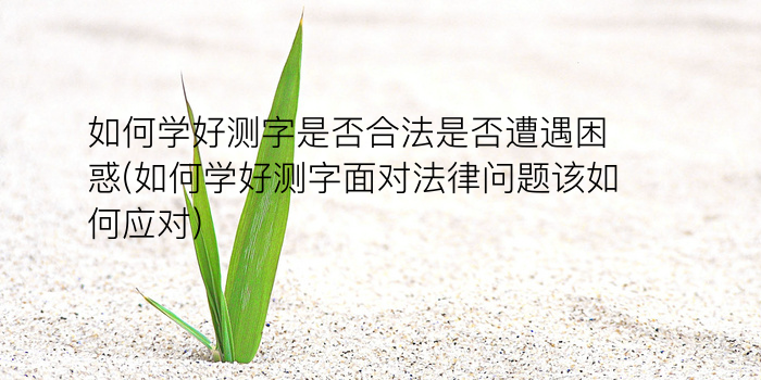 诸葛测字三个字免费游戏截图