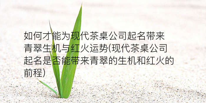 同名同姓结果游戏截图