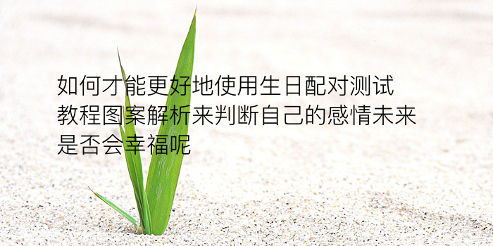 电脑配对姓名手机号游戏截图