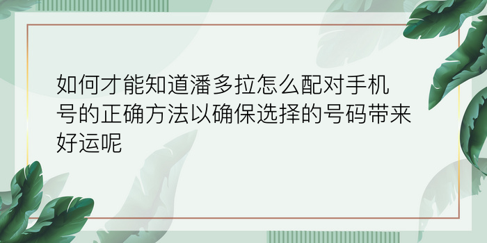 号令天下车牌号吉凶网游戏截图