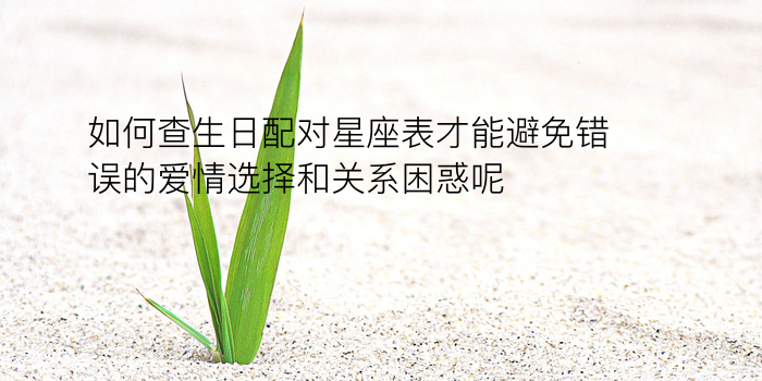 生肖配对呀游戏截图