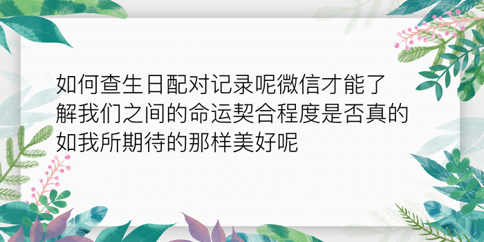 生肖爱情配对游戏截图