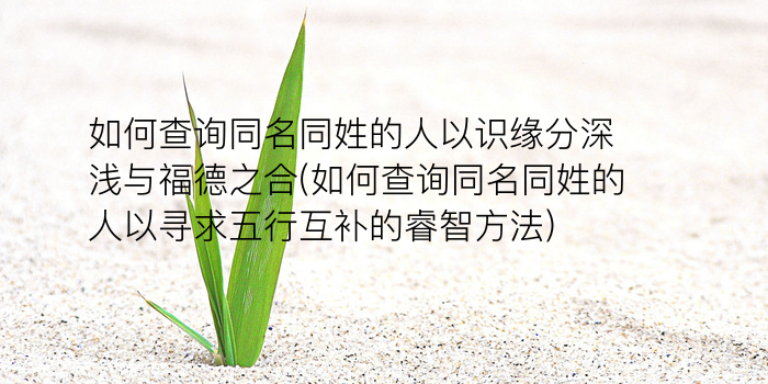 黄姓起名字大全男孩游戏截图