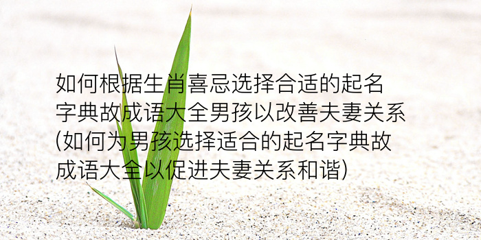 周易文字取名游戏截图