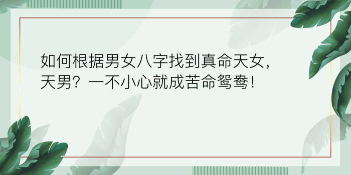 如何根据男女八字找到真命天女，天男？一不小心就成苦命鸳鸯！