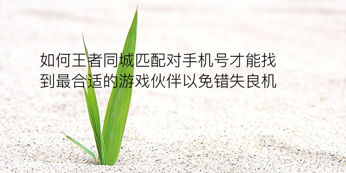 名字配对星座游戏截图