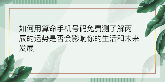 如何用算命手机号码免费测了解丙辰的运势是否会影响你的生活和未来发展