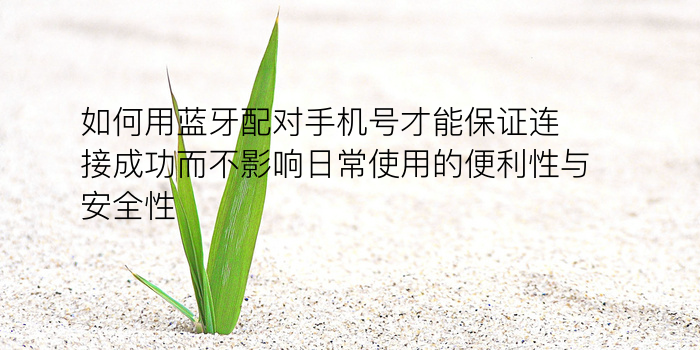 电动车牌号码测吉凶游戏截图