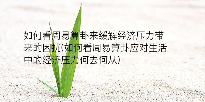 黄洁姓名测试游戏截图