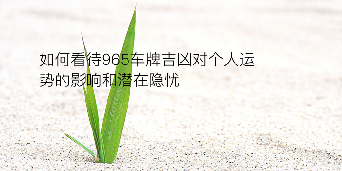 车牌照测吉凶游戏截图