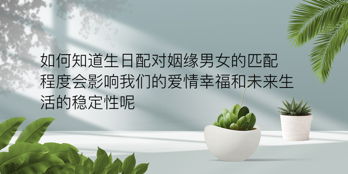 生肖鸡与生肖狗配对游戏截图