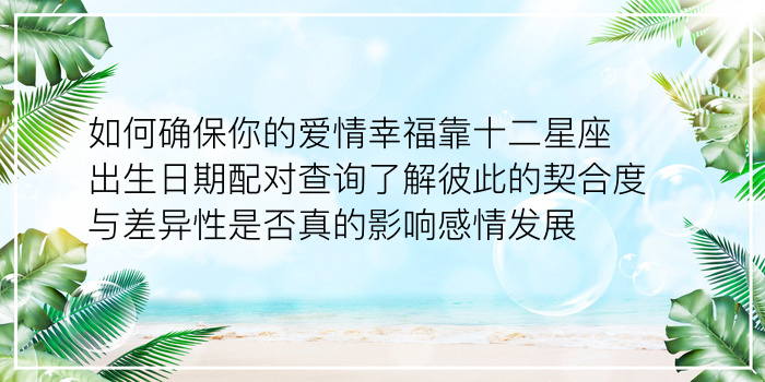 车牌号码吉凶测表游戏截图