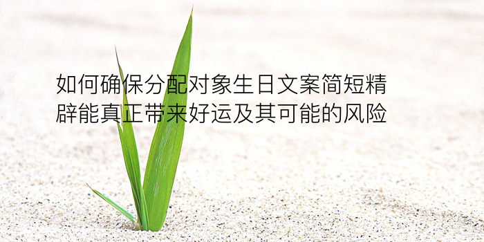 婚姻生日配对游戏截图