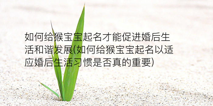 男孩起名缺木游戏截图