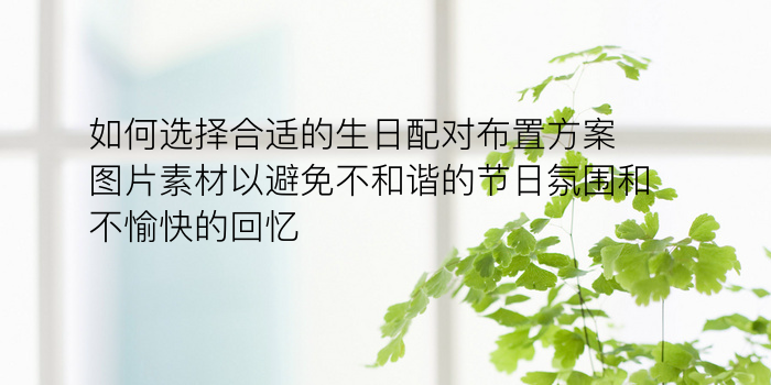 车牌算吉凶游戏截图