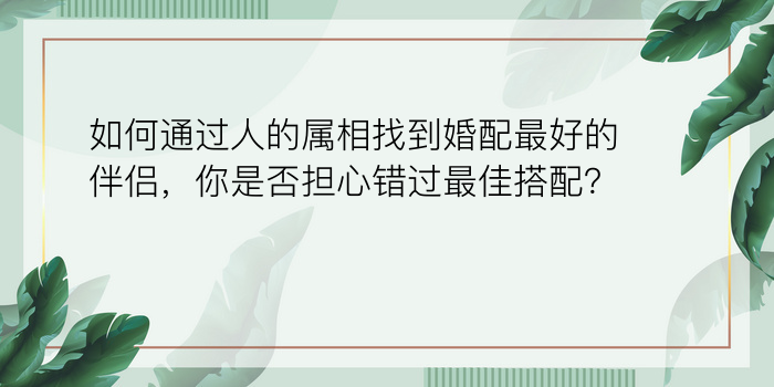 周易算车牌号吉凶游戏截图