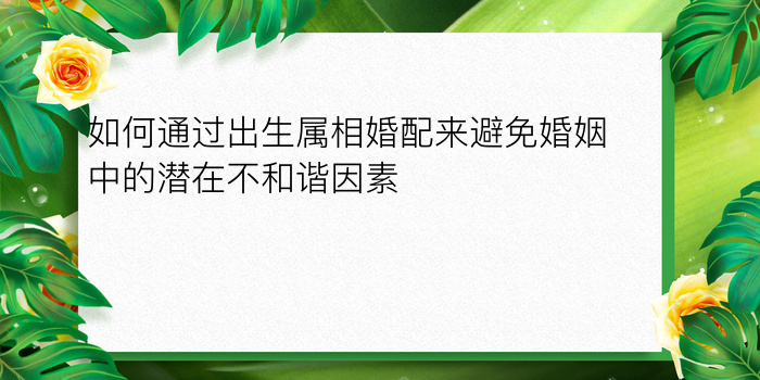 如何通过出生属相婚配来避免婚姻中的潜在不和谐因素