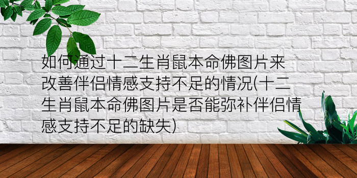 如何通过十二生肖鼠本命佛图片来改善伴侣情感支持不足的情况(十二生肖鼠本命佛图片是否能弥补伴侣情感支持不足的缺失)