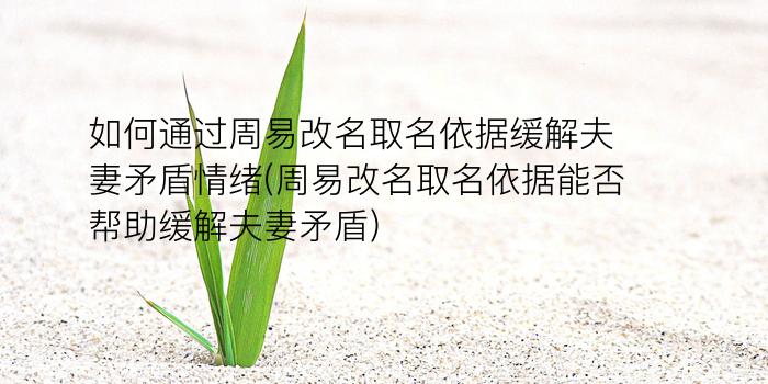 周易取名馆游戏截图