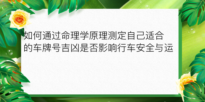 测车牌号码吉凶打分游戏截图