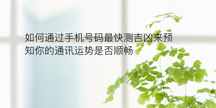 生肖年配对游戏截图