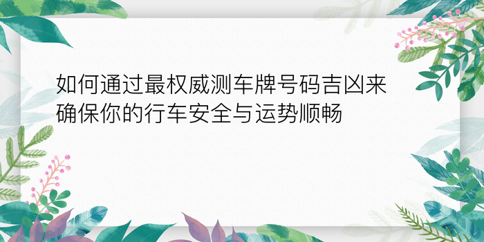 生日配对新浪网游戏截图