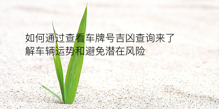 浮屠塔生日配对游戏截图