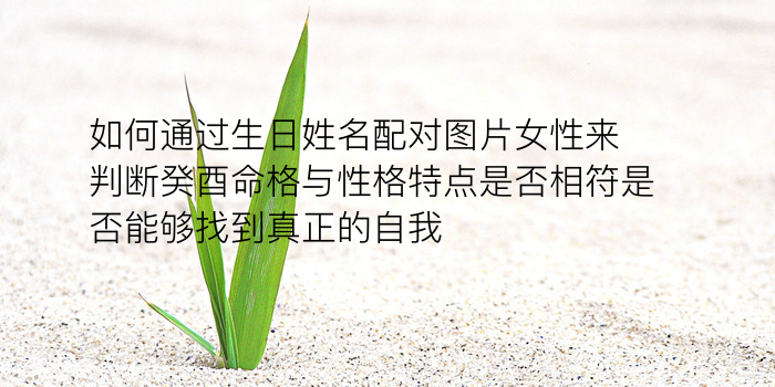 蛇的生肖配对游戏截图